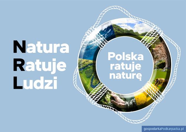 Nature Restoration Law - ważne unijne prawo