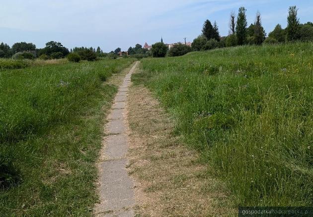 Bulwary nad Wisłokiem w Strzyżowie. Stan obecny. Fot. Urząd Miejski