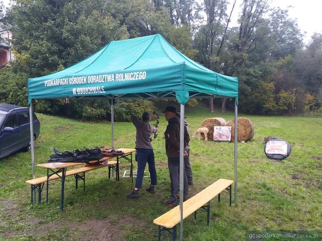 Trwa giełda ogrodnicza i wystawa zwierząt w Boguchwale