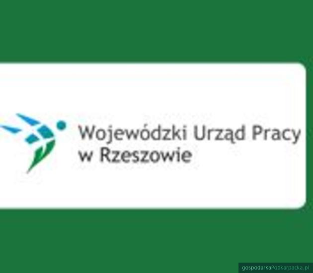 Czym zajmuje się Wojewódzki Urząd Pracy w Rzeszowie?