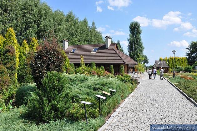 Arboretum w Bolestraszycach. Fot. Grzegorz Karnas, arboretum.pl