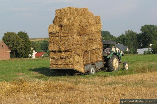 Ostatnie konsultacje w sprawie dopłat bezpośrednich