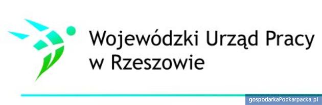 Bezpłatne zajęcia w Centrach Informacji i Planowania Kariery Zawodowej