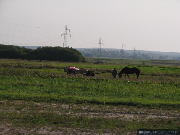 Jak uregulować obrót ziemią rolną w Polsce?