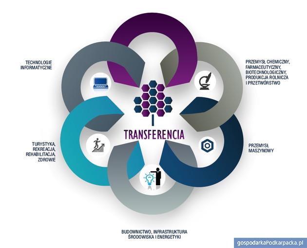 "Transferencia" – projekt RARR