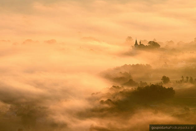 Beskid Niski, okolice Jasła. Fot. Tomasz Okoniewski