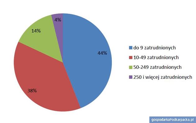 Zakłady, w których ujawniono nieprzestrzeganie przepisów o wynagrodzeniach – zestawienie wg wielkości zatrudnienia. Żródło OIP w Rzeszowie